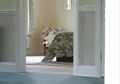 Doğal bush OLACAK sevenler için aile ici sikisi